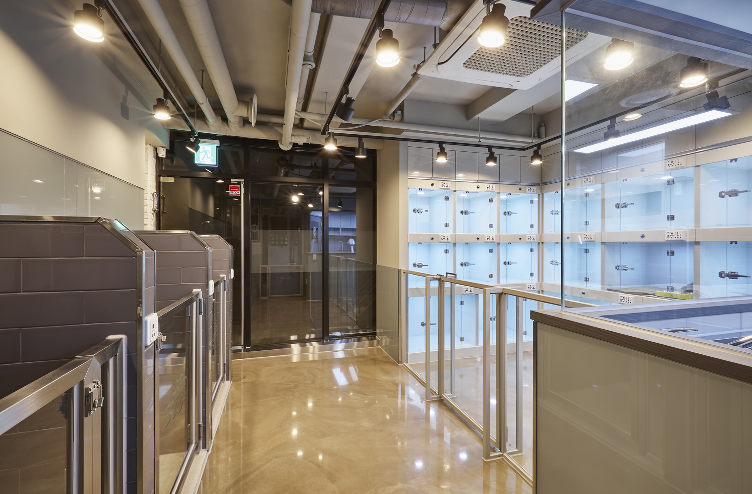 플라잉펫 대표 이미지