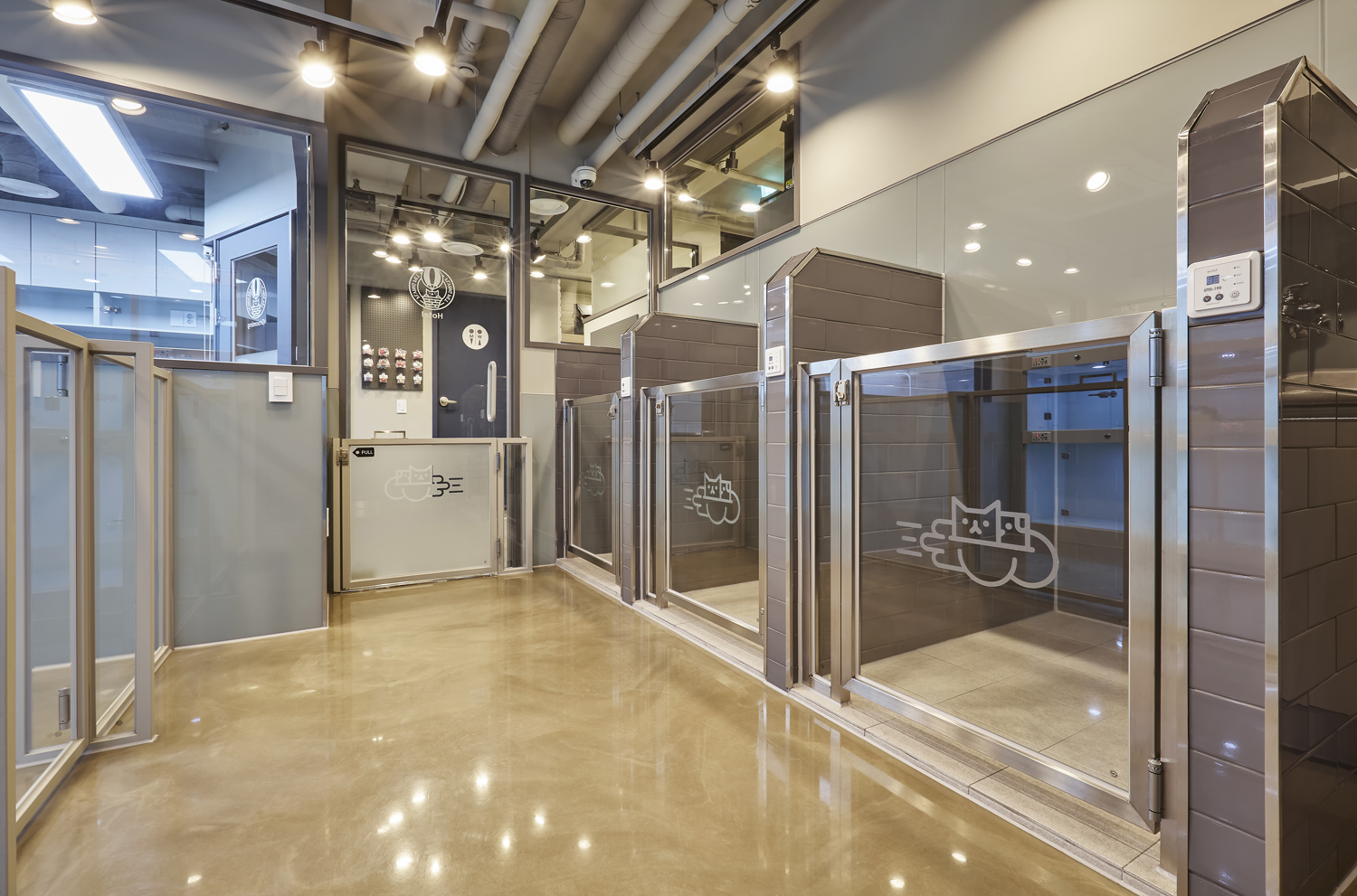 플라잉펫 대표 이미지