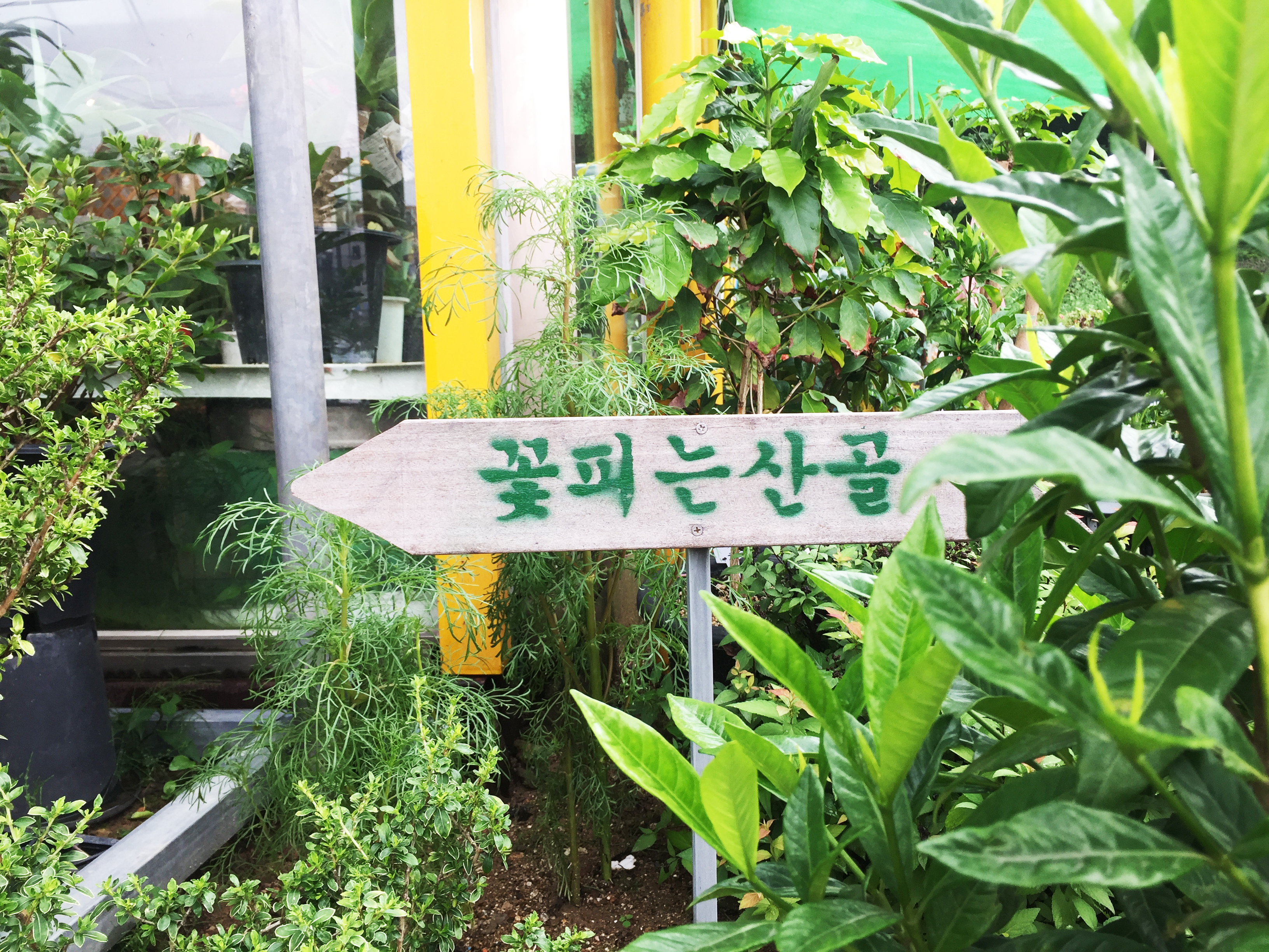 꽃피는산골