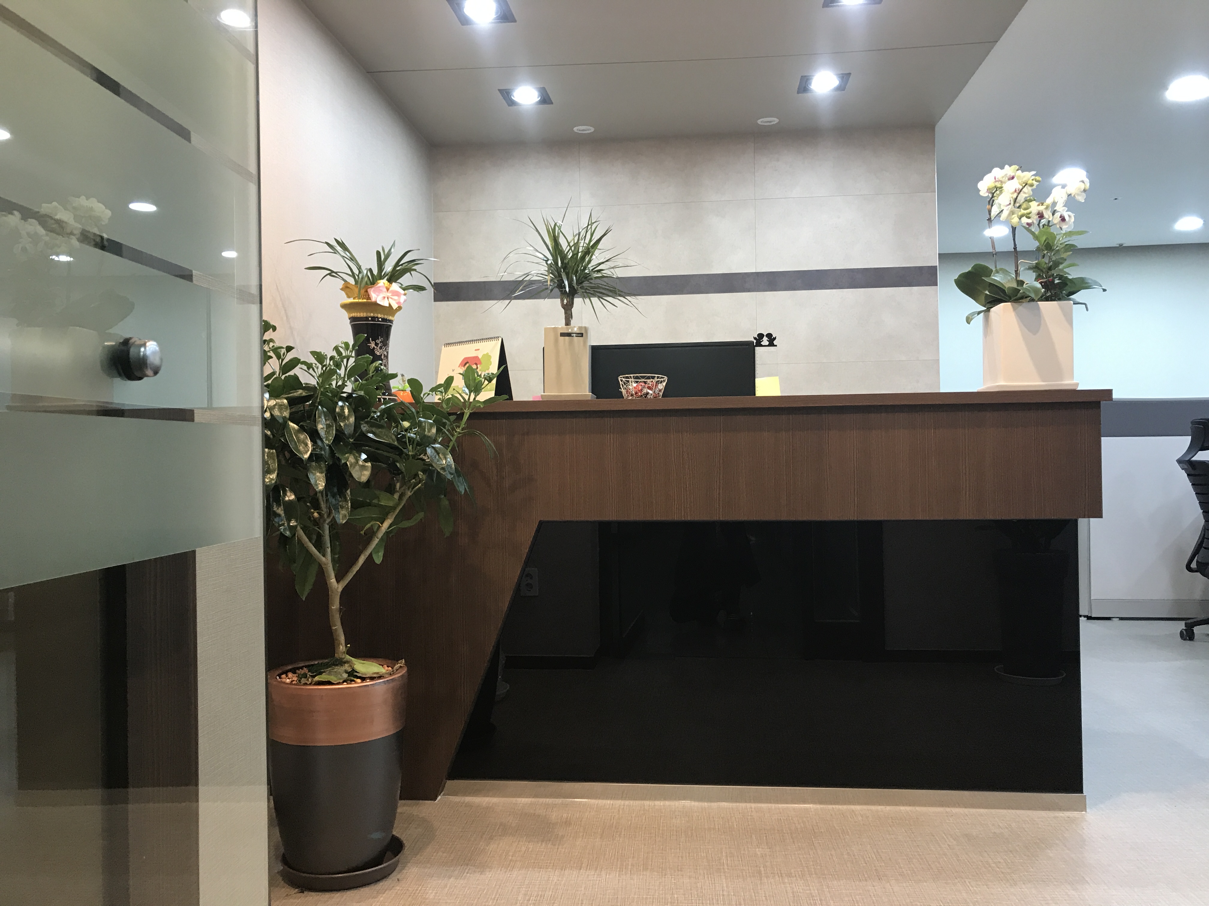 법률사무소 대안 대표 이미지