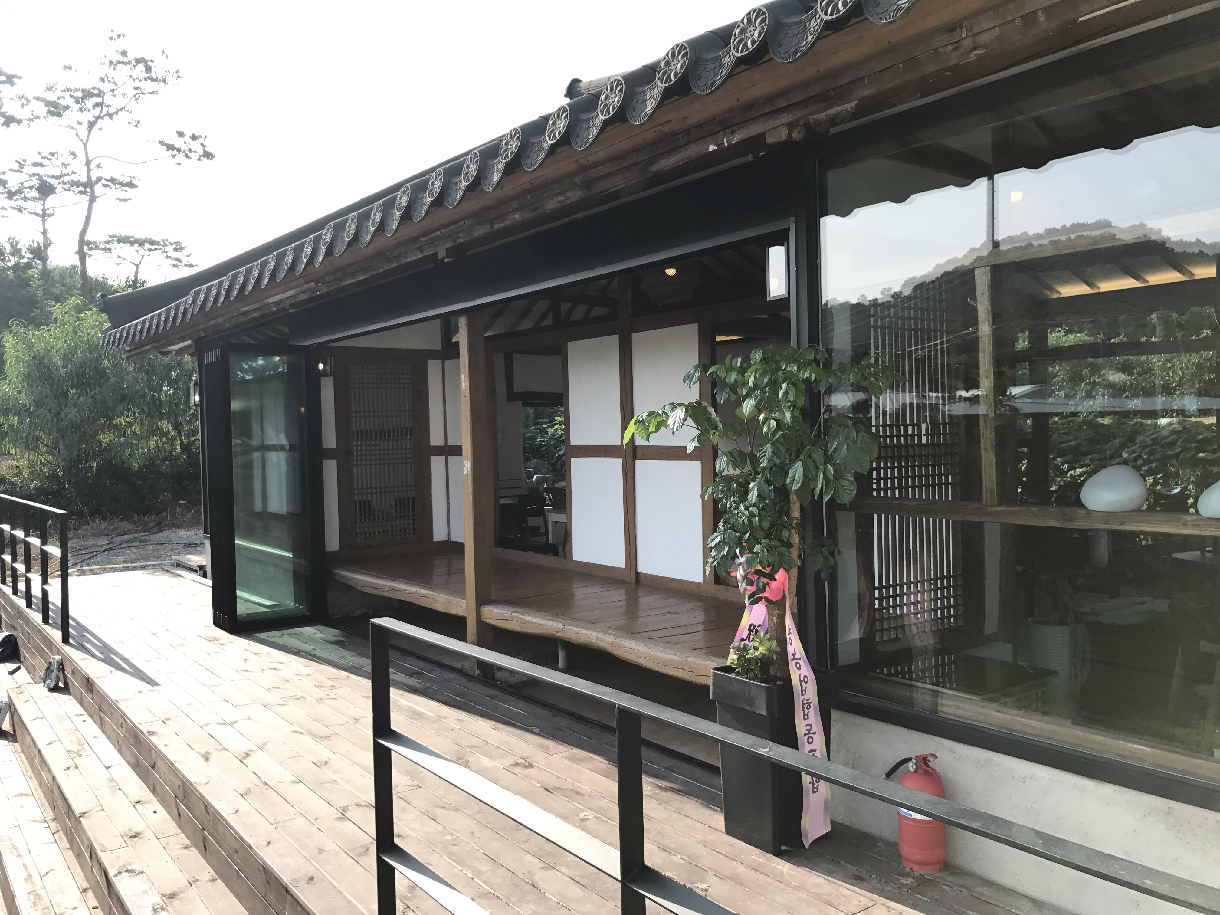 철호와 미자