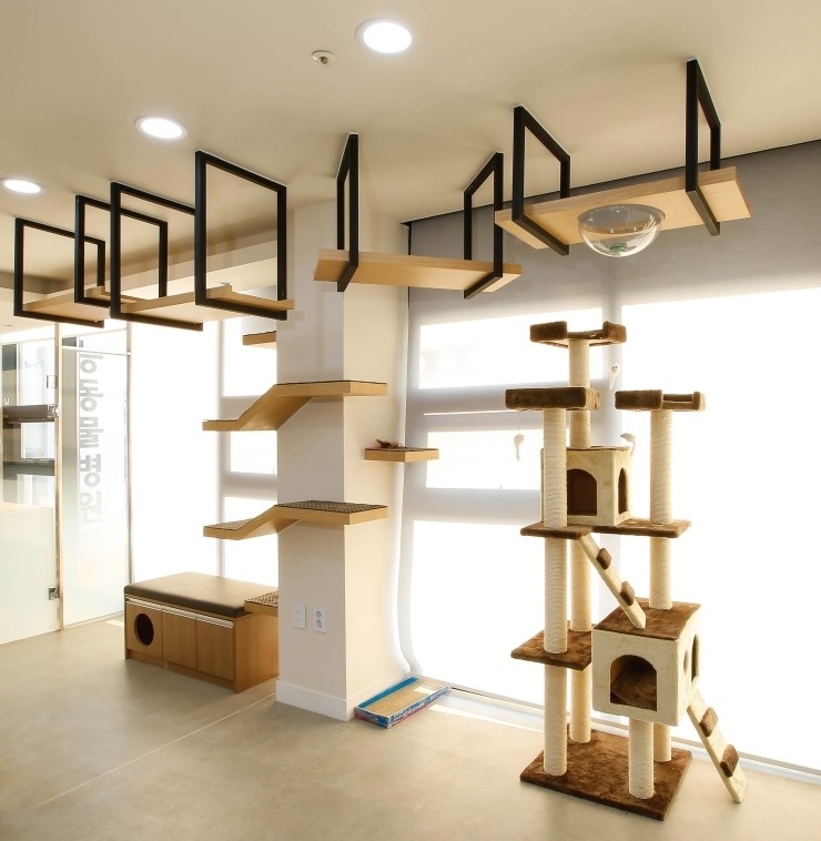 태능동물병원 대표 이미지