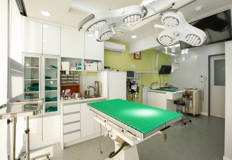 태능동물병원 대표 이미지