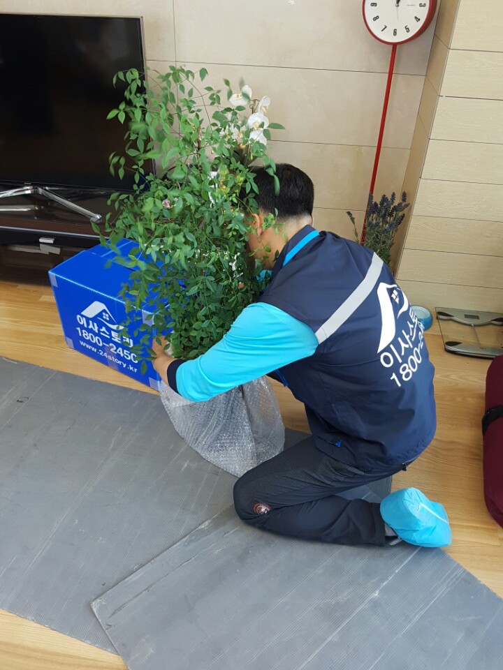 이사스토리 인천3호점 대표 이미지