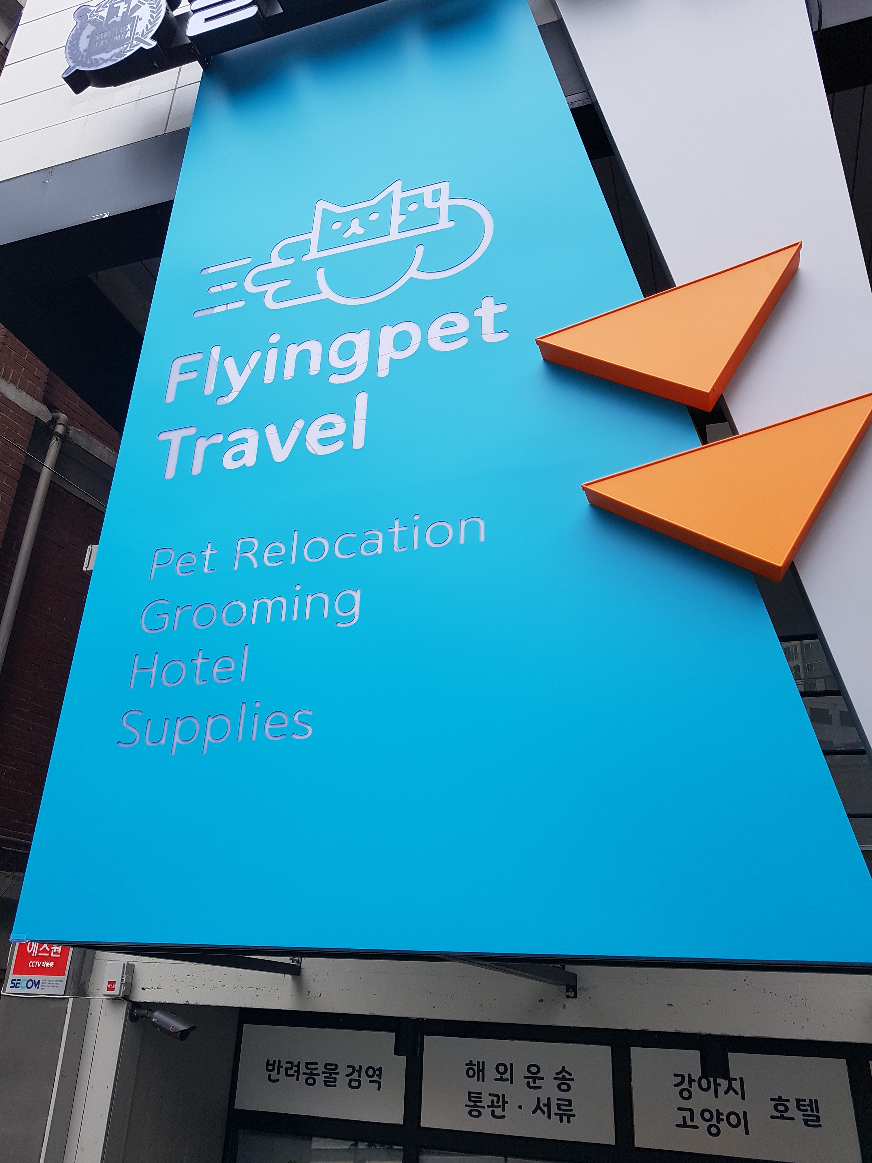 플라잉펫 대표 이미지