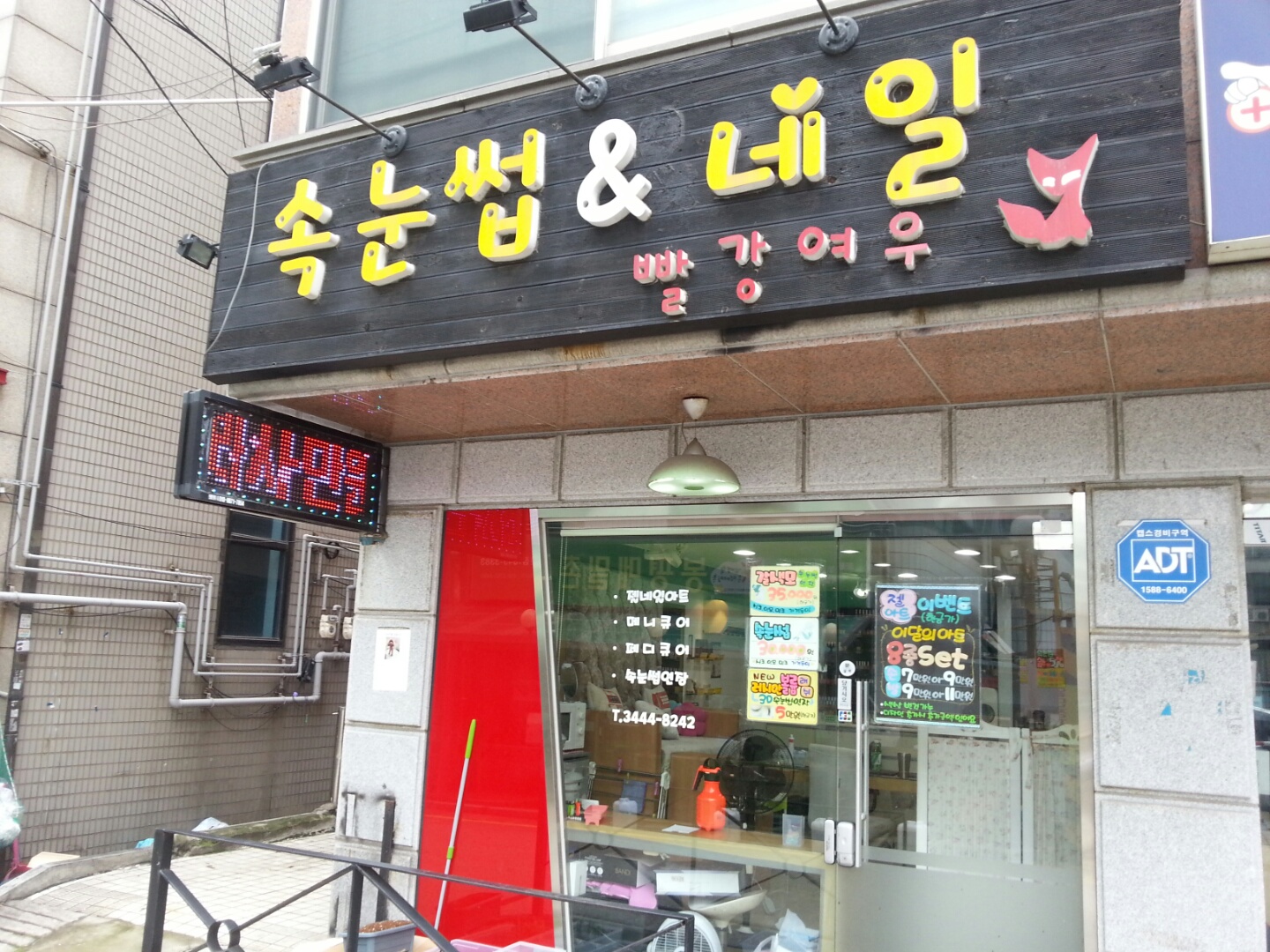 빨강여우