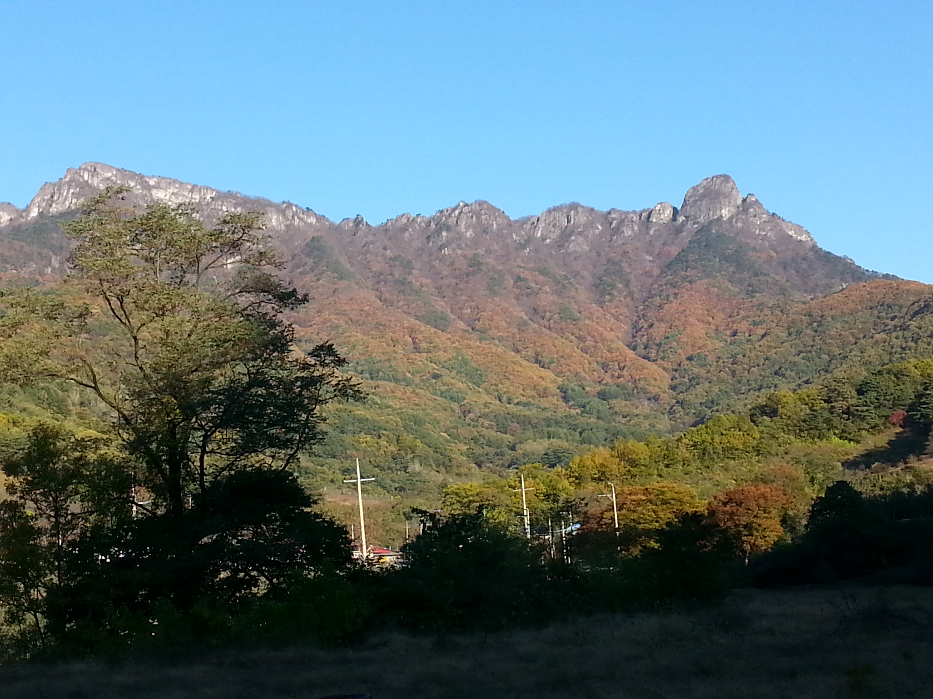 문경주흘산농원