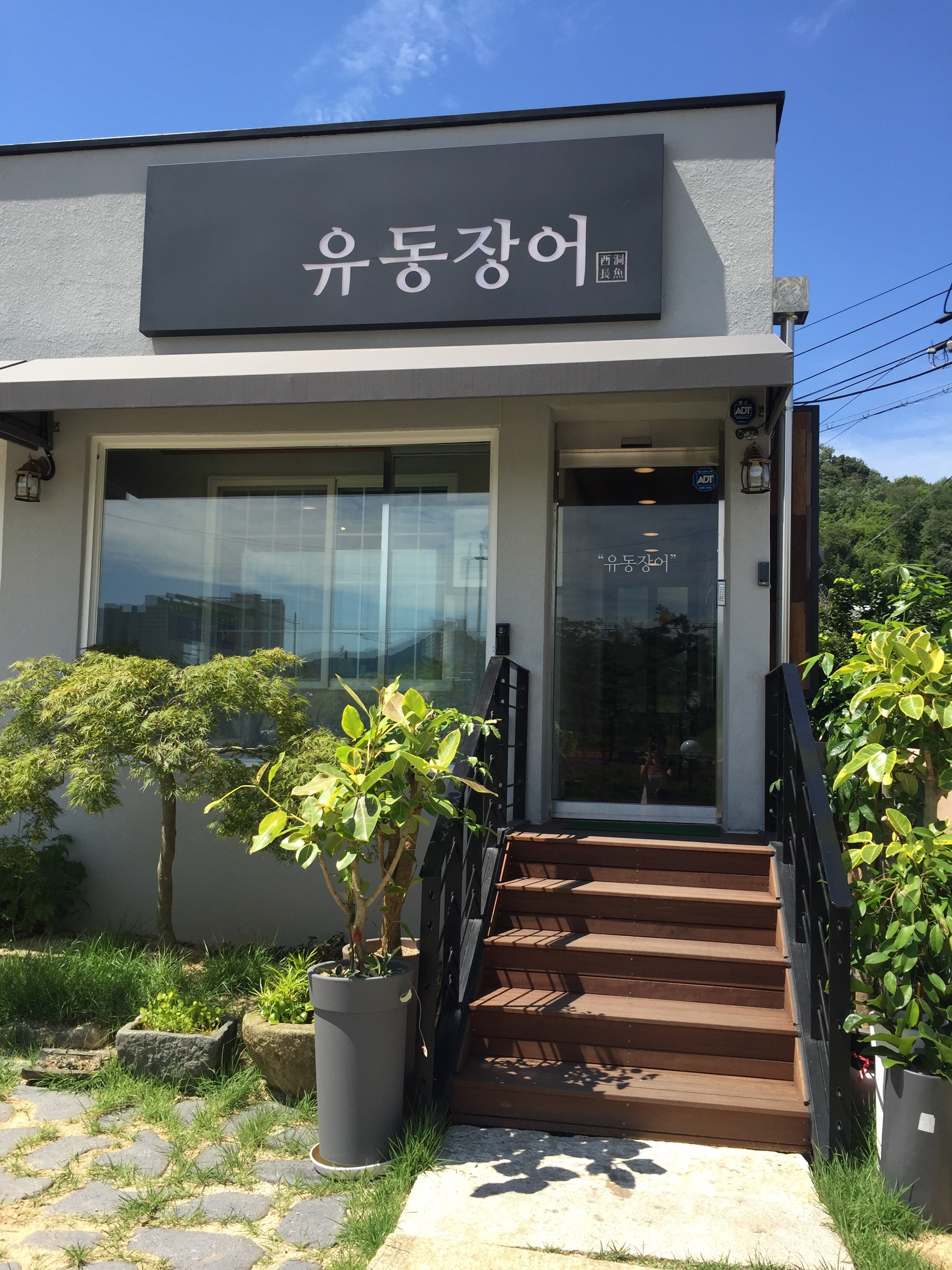유동장어