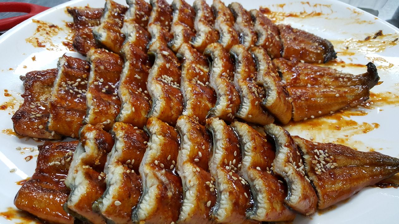 허가네장어
