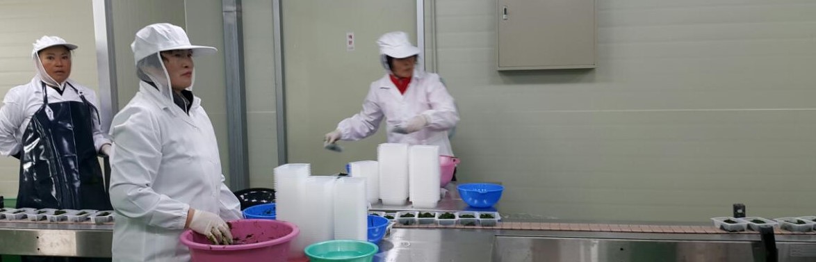 영어조합법인 무안사랑