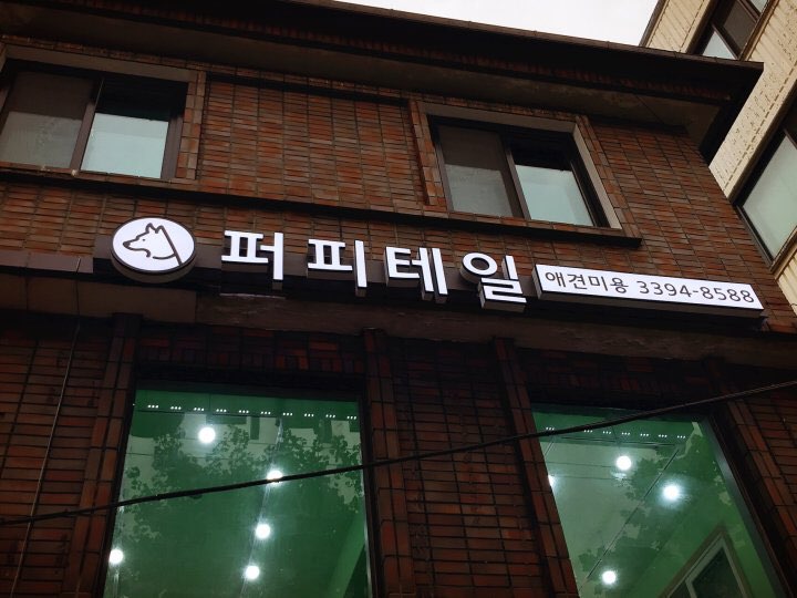 퍼피테일 대표 이미지