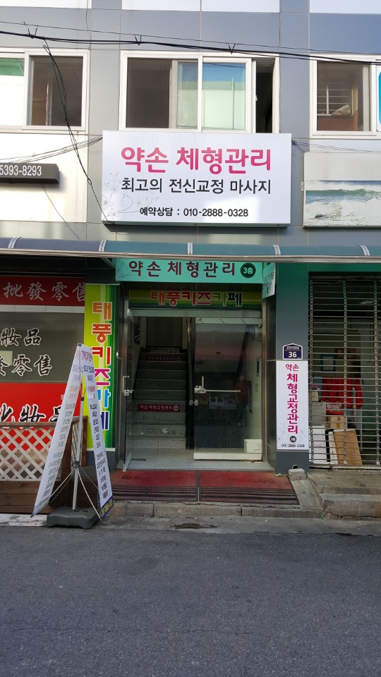 약손체형관리