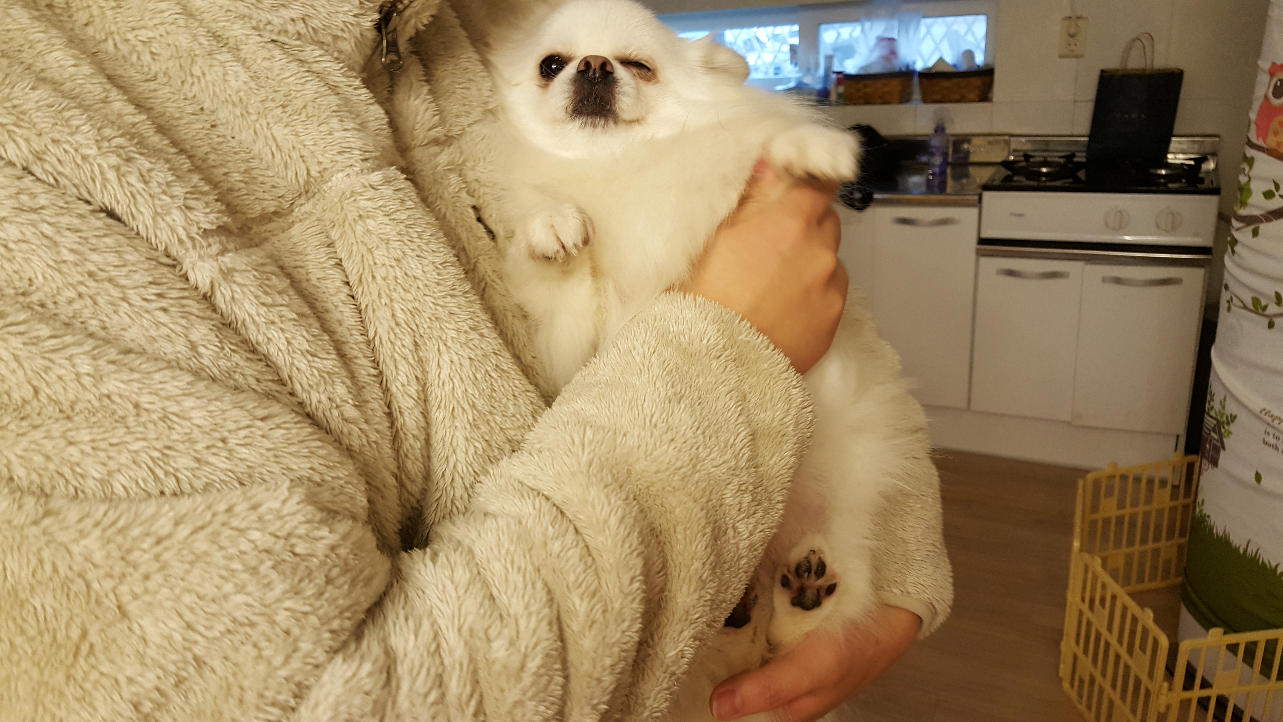 이미지