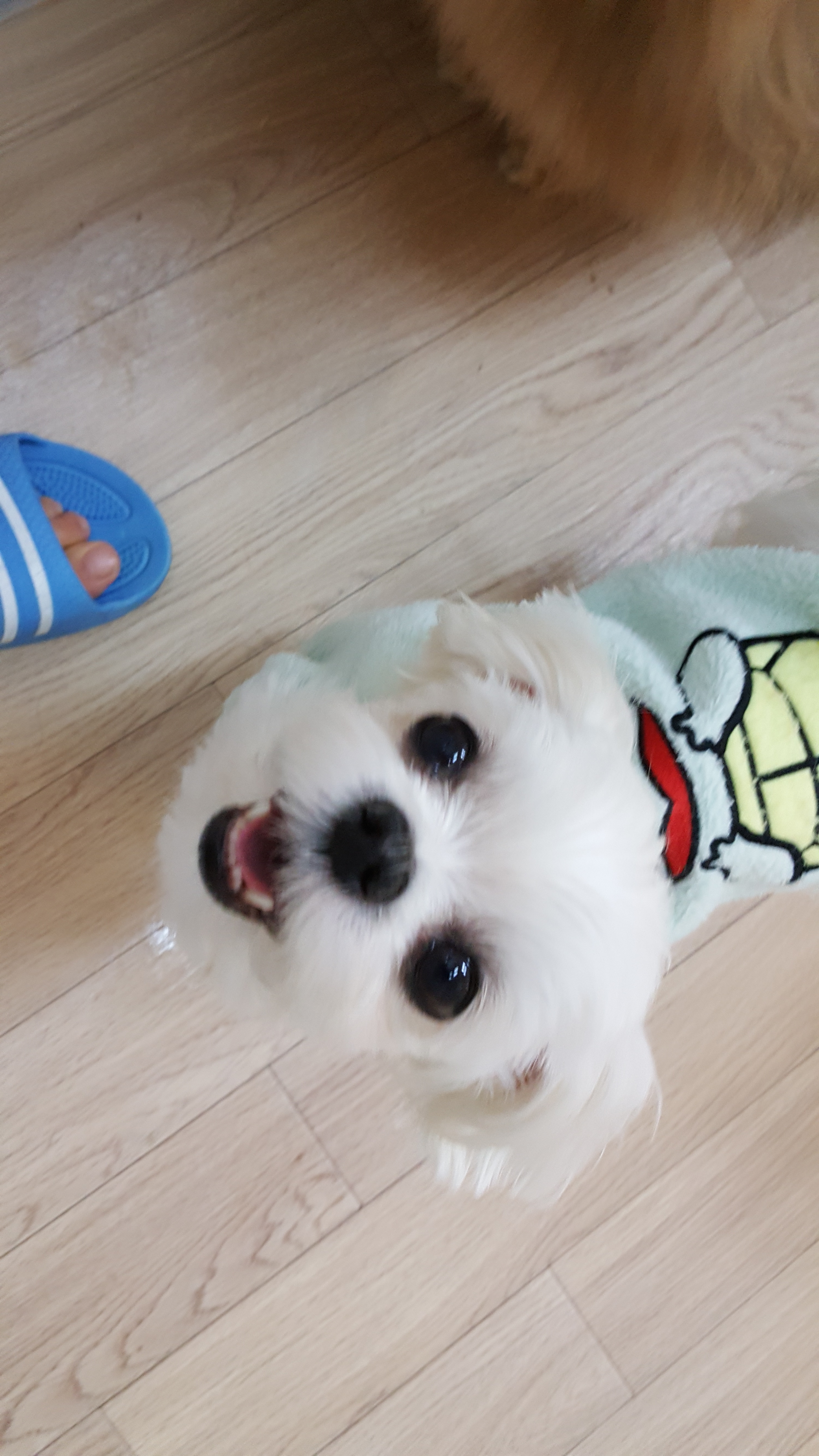 이미지
