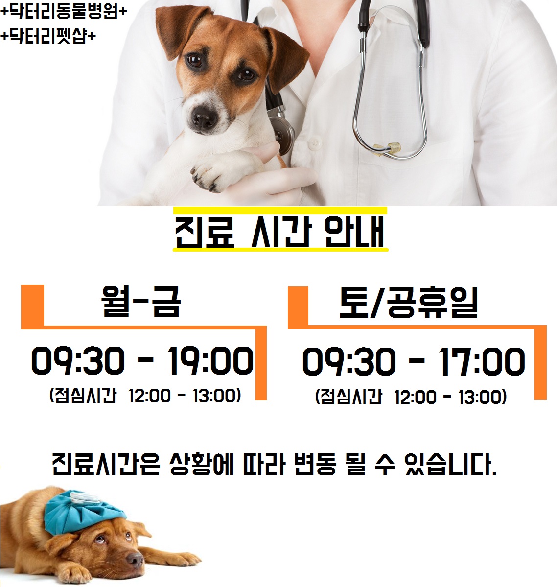 닥터리동물병원 대표 이미지