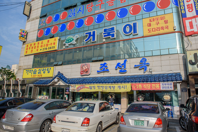 거북이식당