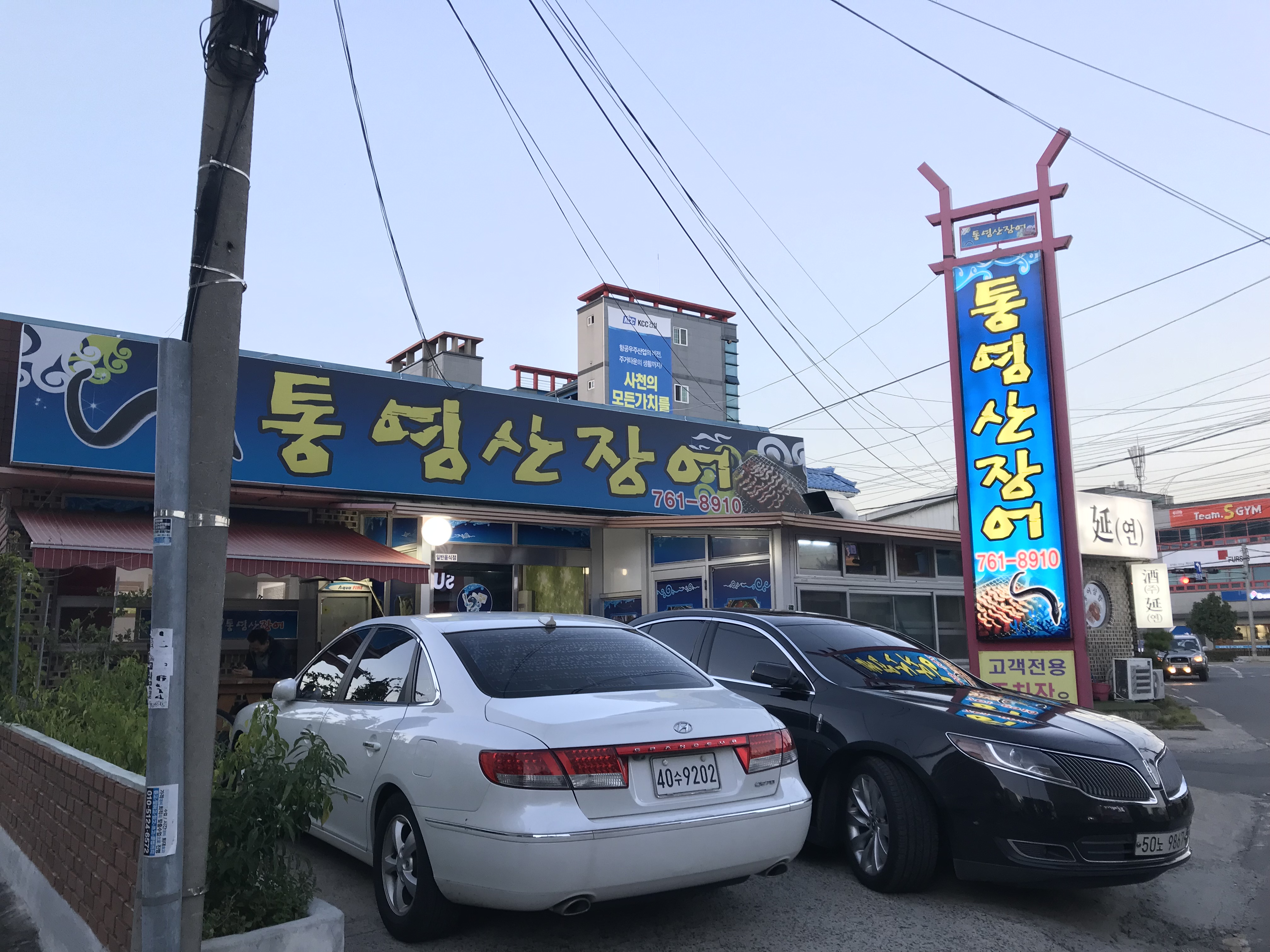 통영산장어