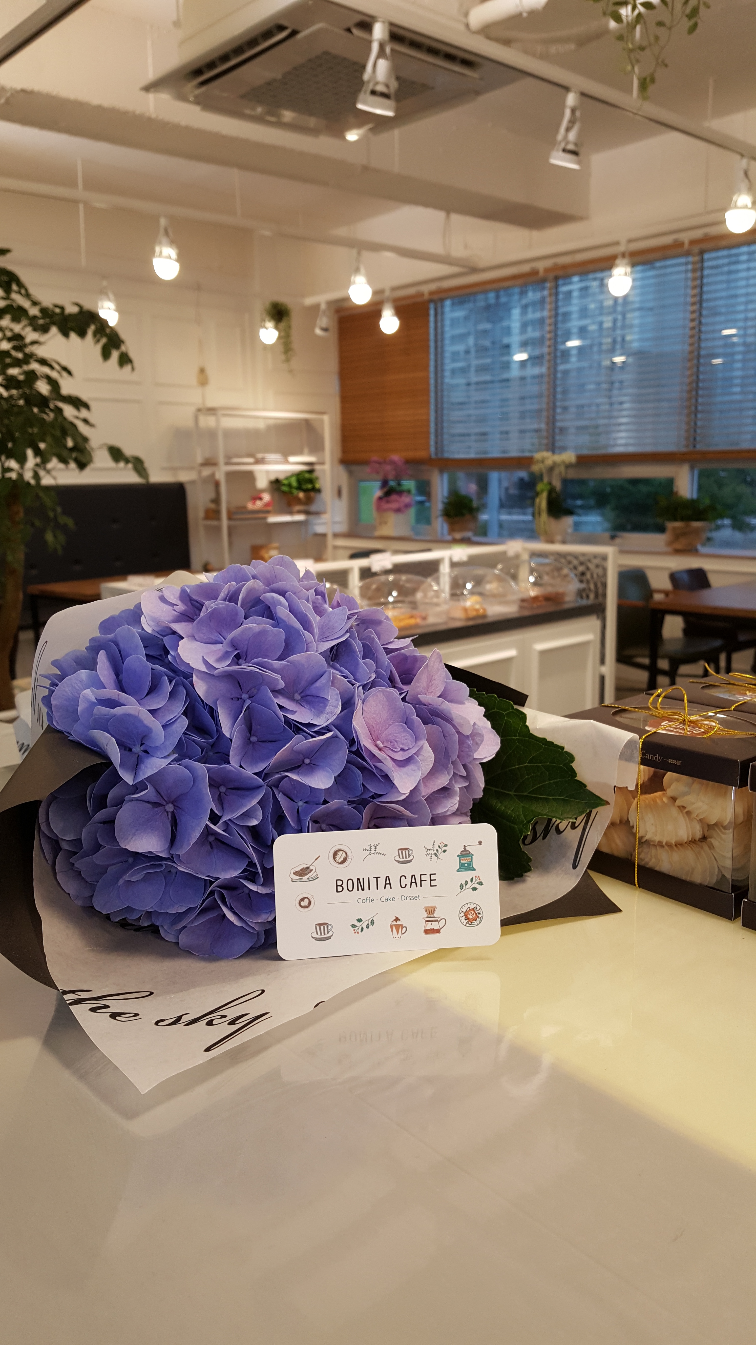 보니따카페