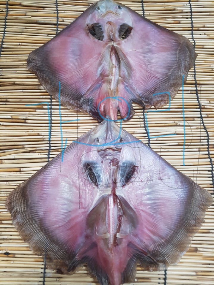 동부건어물