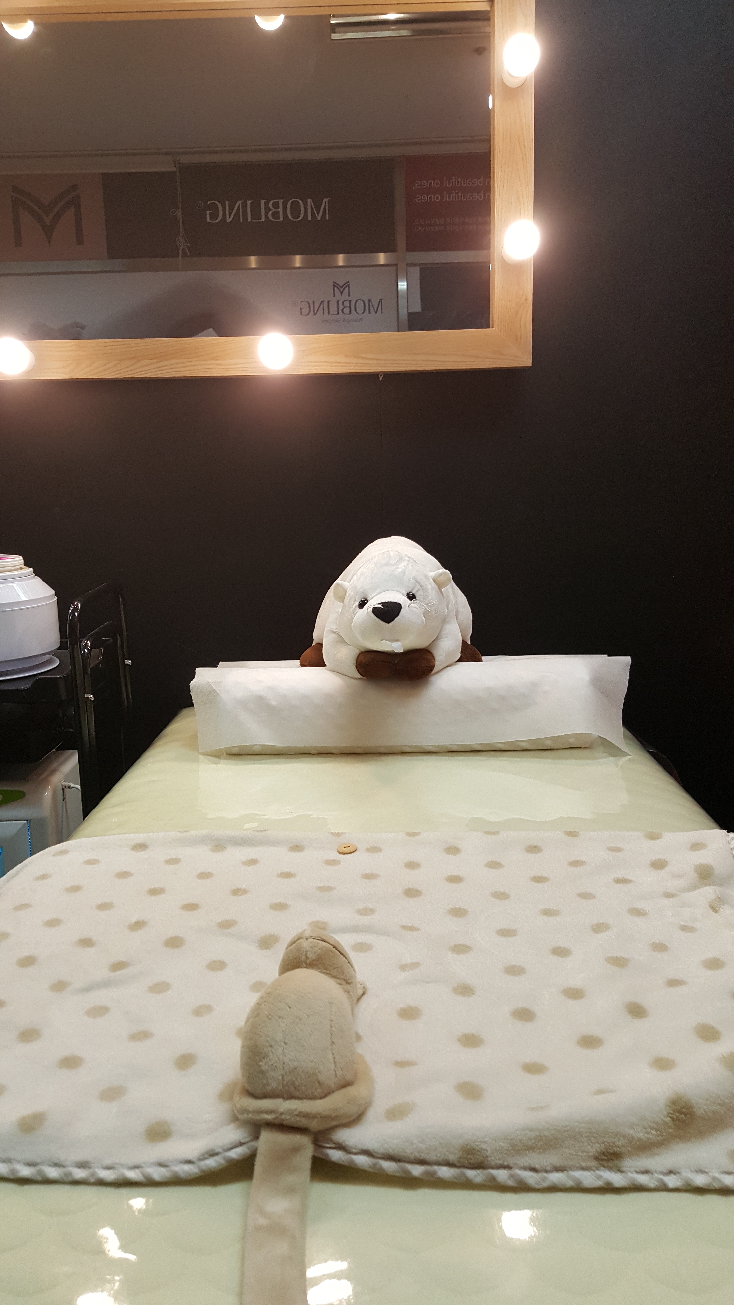 모블링 슈왁싱