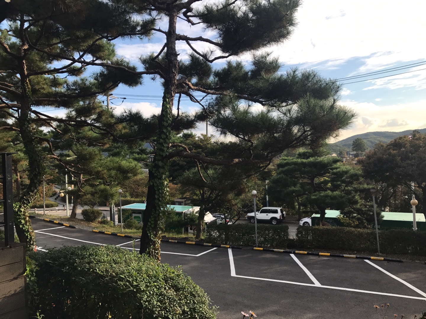 영산강민물장어 백운호수점 대표 이미지