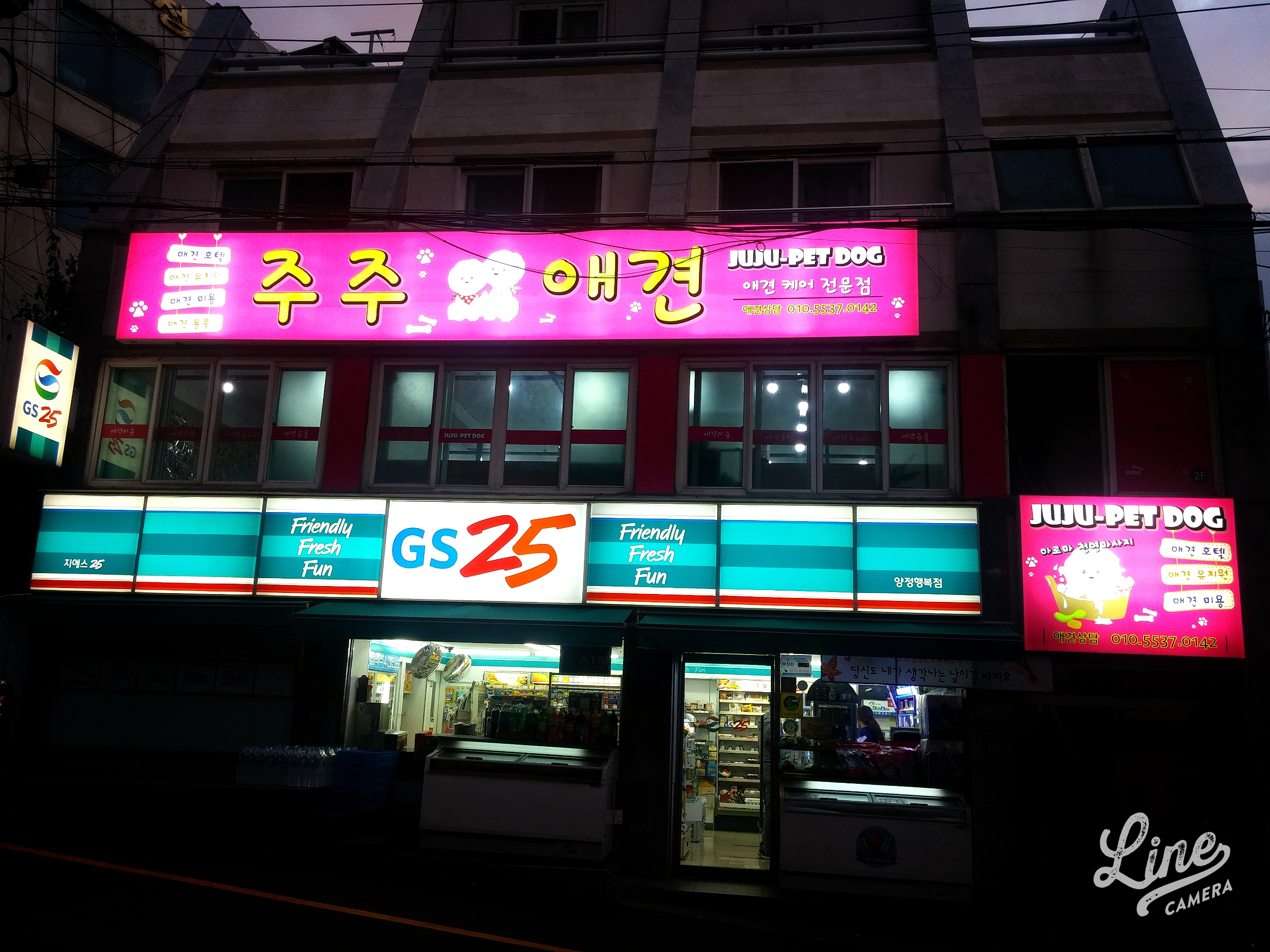 주주애견