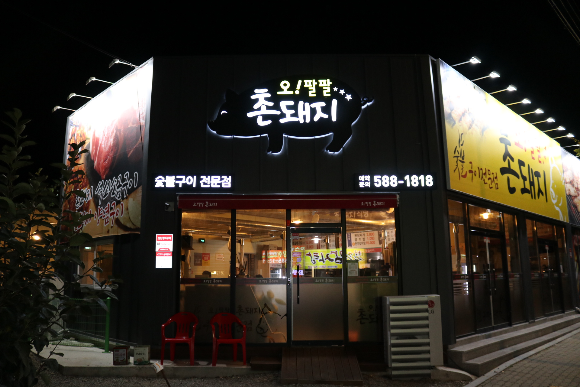 오팔팔 촌돼지