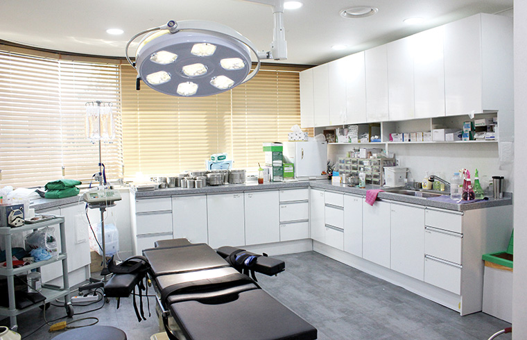 예몸의원 대표 이미지