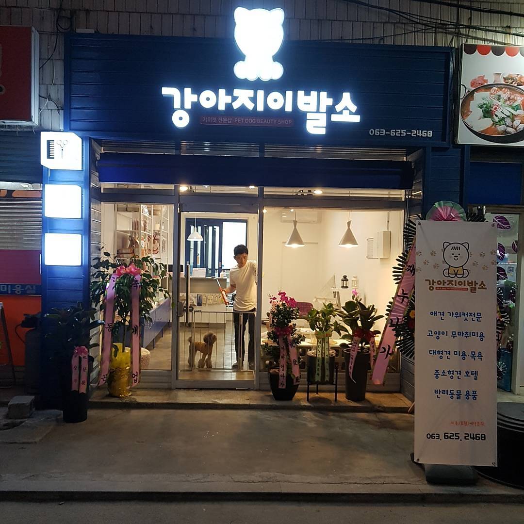 강아지이발소 대표 이미지