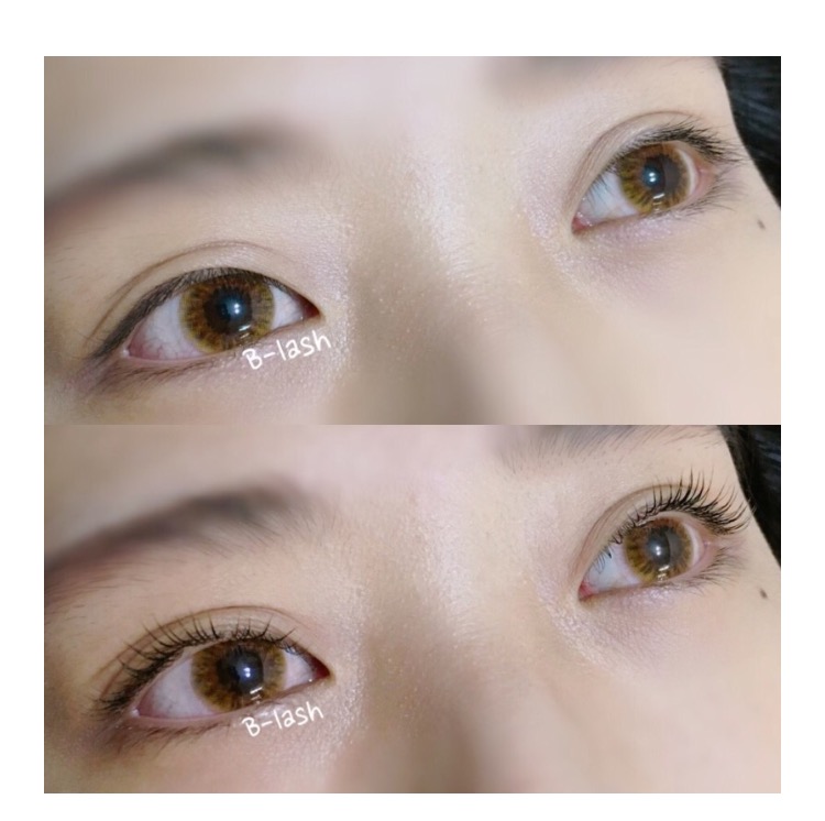 비래쉬 대표 이미지