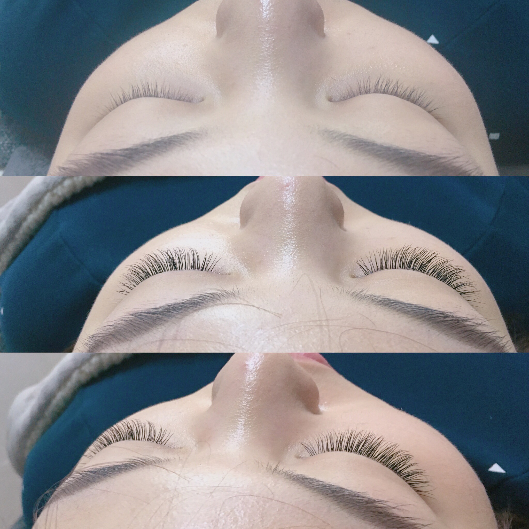 비래쉬 대표 이미지