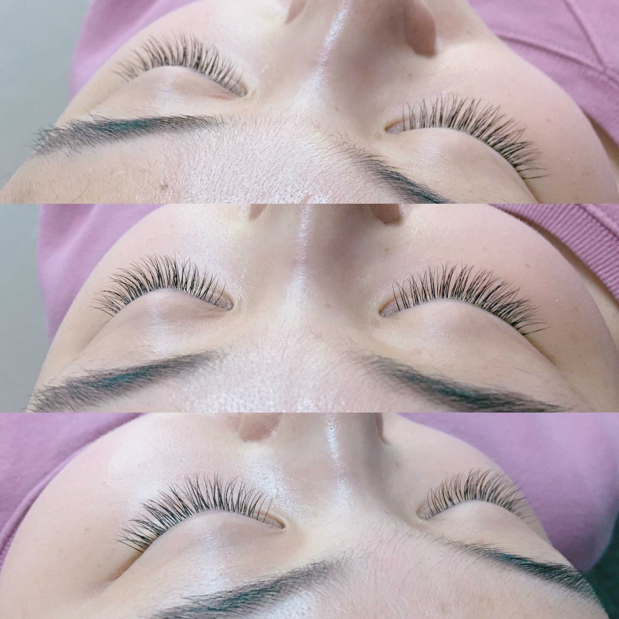 비래쉬 대표 이미지