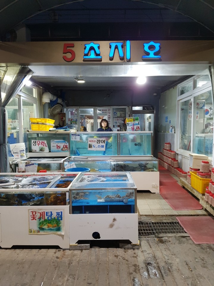 초지호