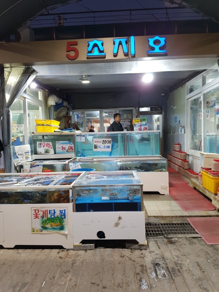 초지호
