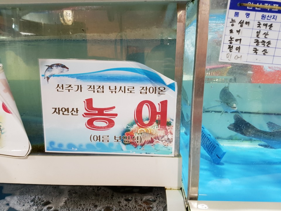 초지호