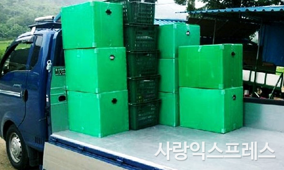 신원강 개인용달 대표 이미지