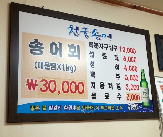 천궁송어