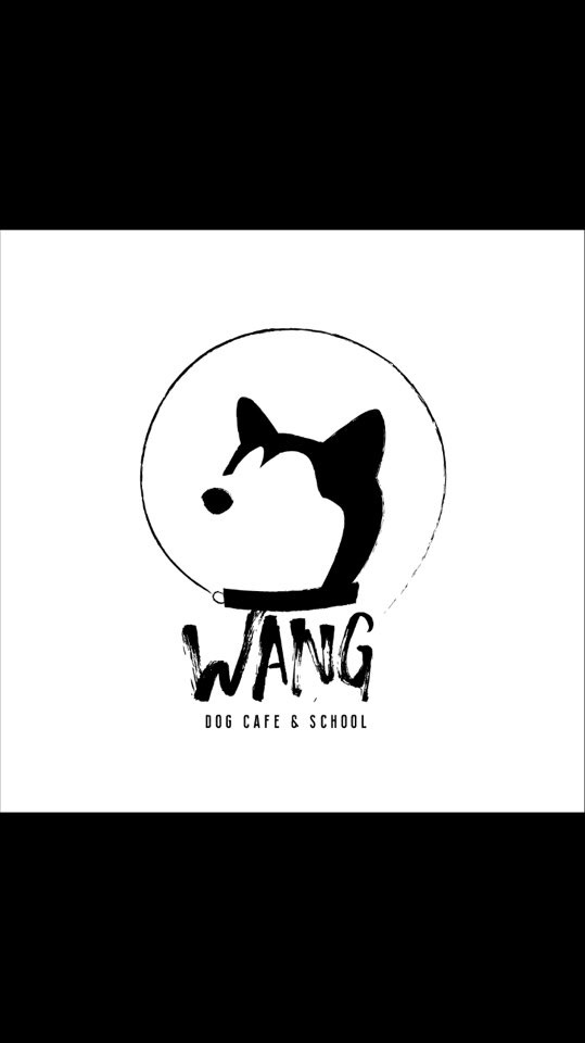 애견카페왕 애견유치원,애견호텔