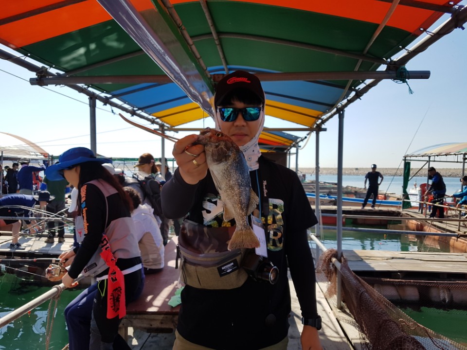 낚시타운좌대낚시