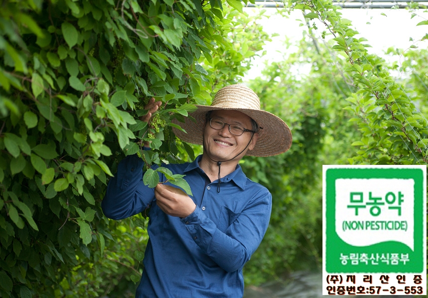 바우누리