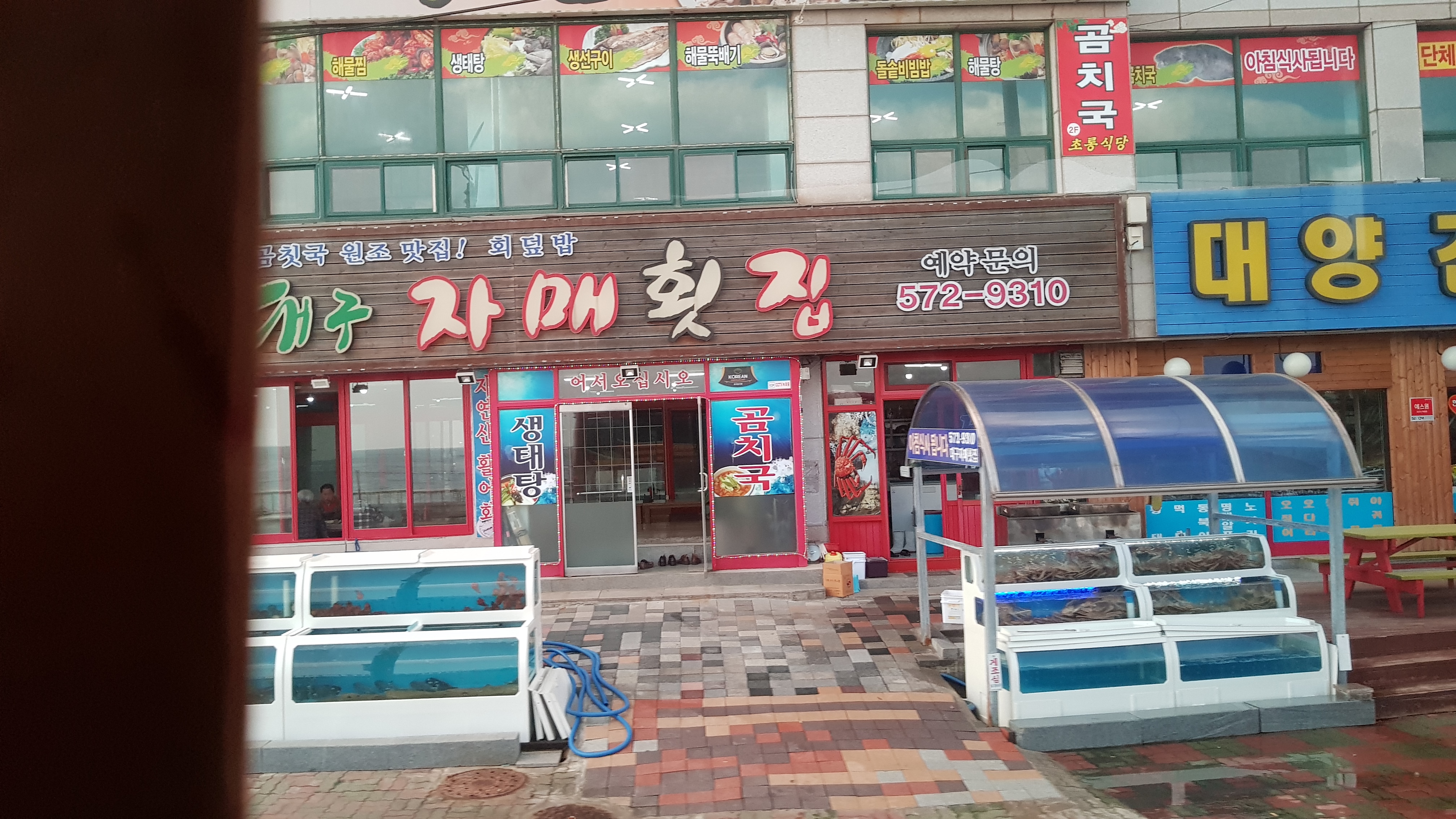 자매횟집