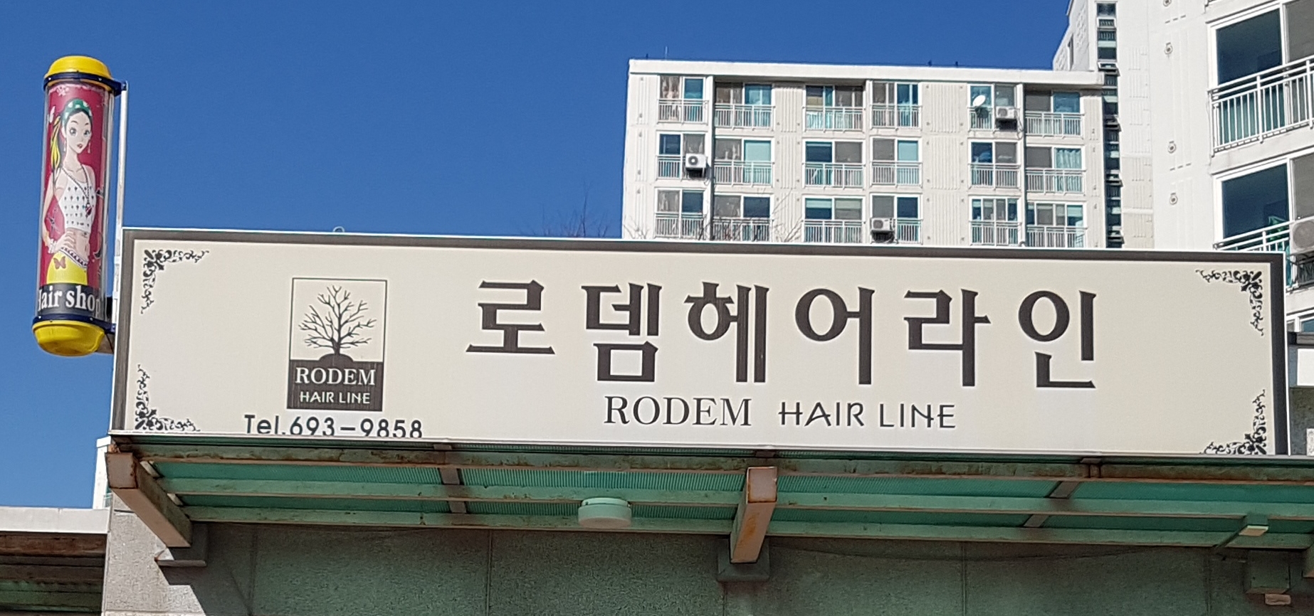 로뎀헤어라인