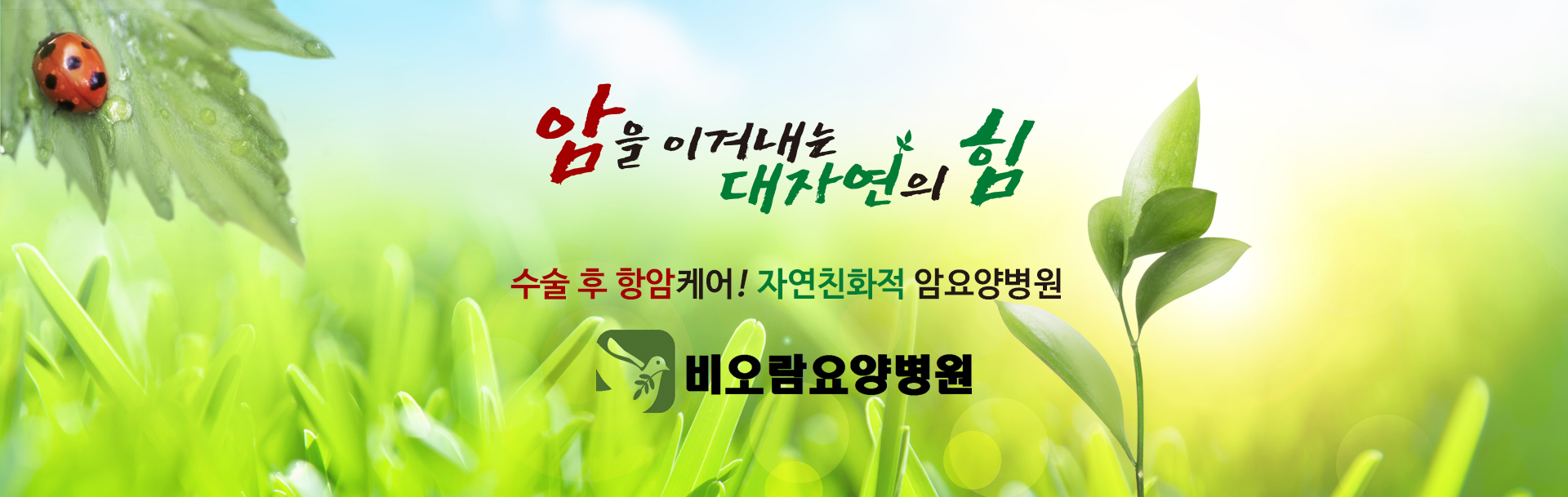 비오람요양병원 대표 이미지