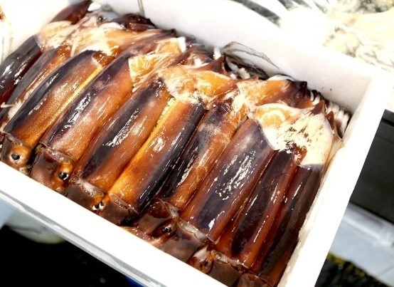 서울수산물회센타