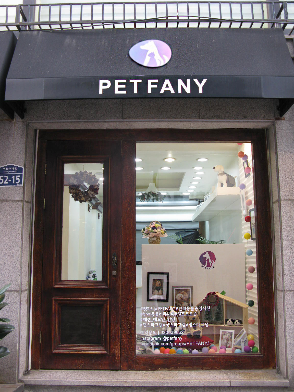 petfany 대표 이미지