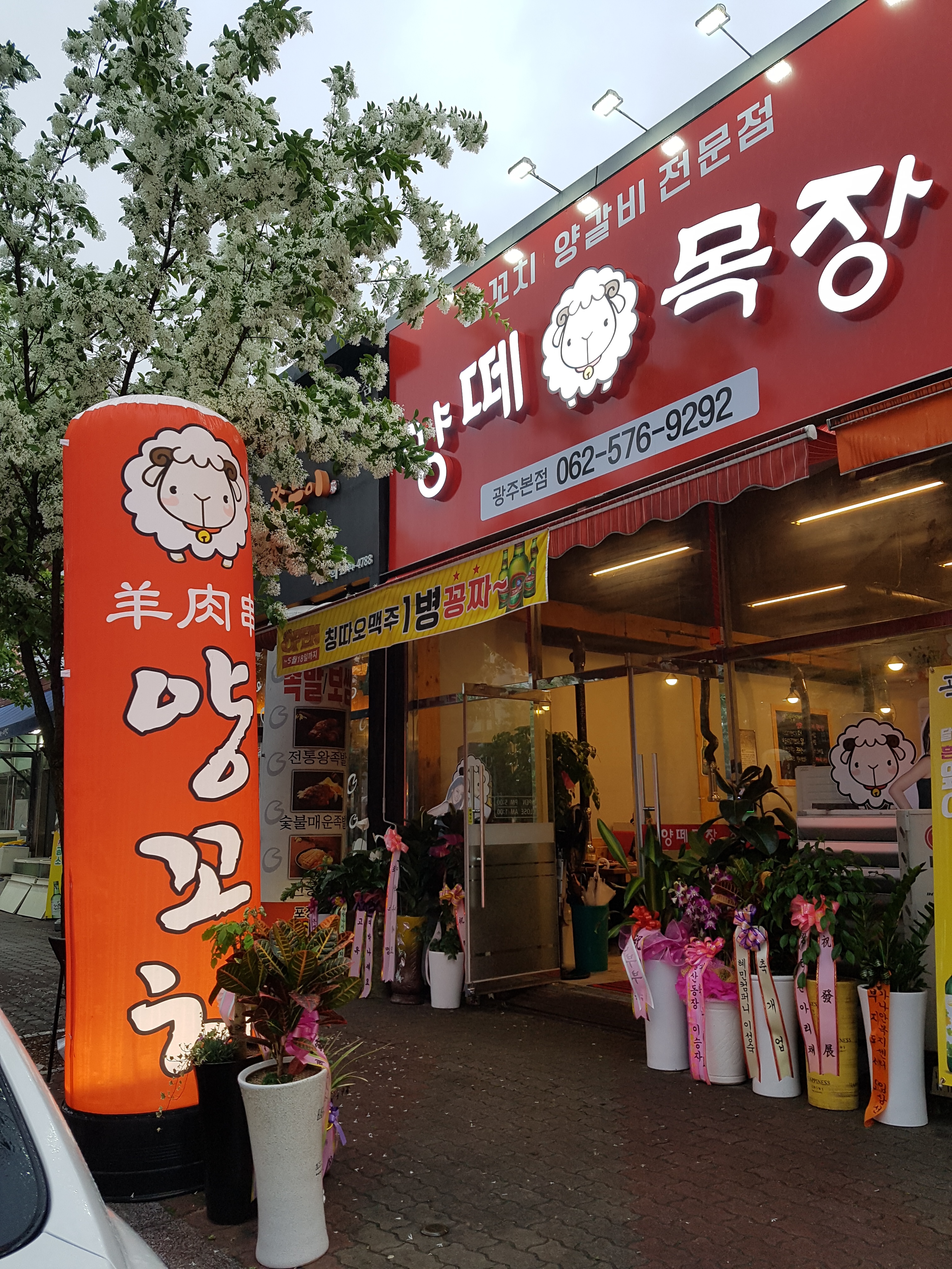 양떼목장 광주본점 대표 이미지