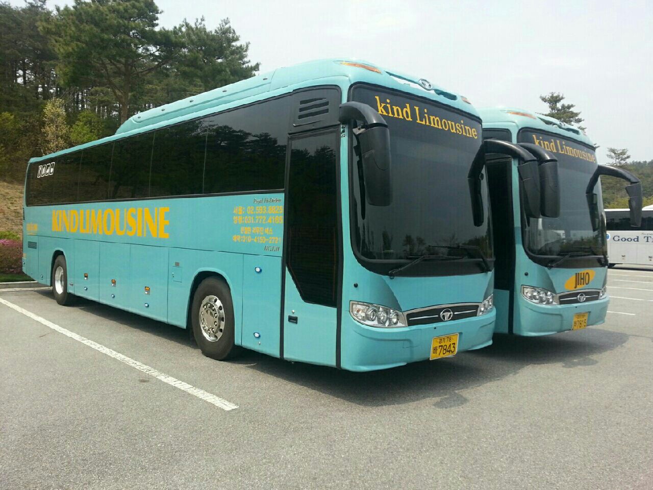 비에스여행사
