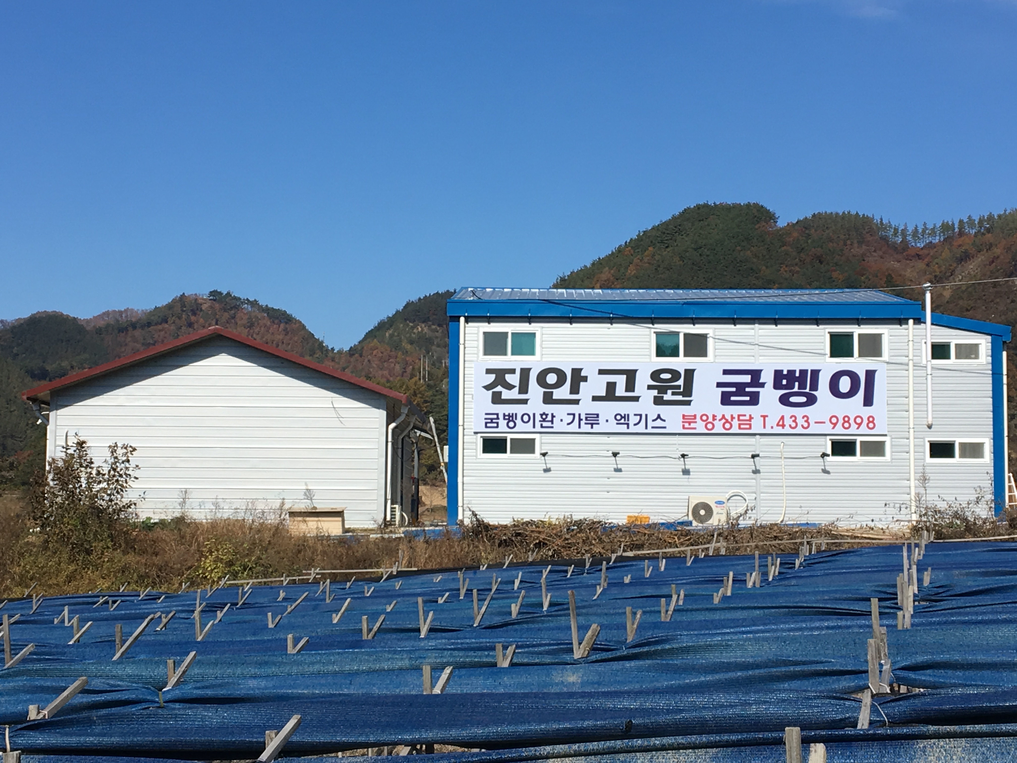 진안고원 굼벵이 영농조합법인