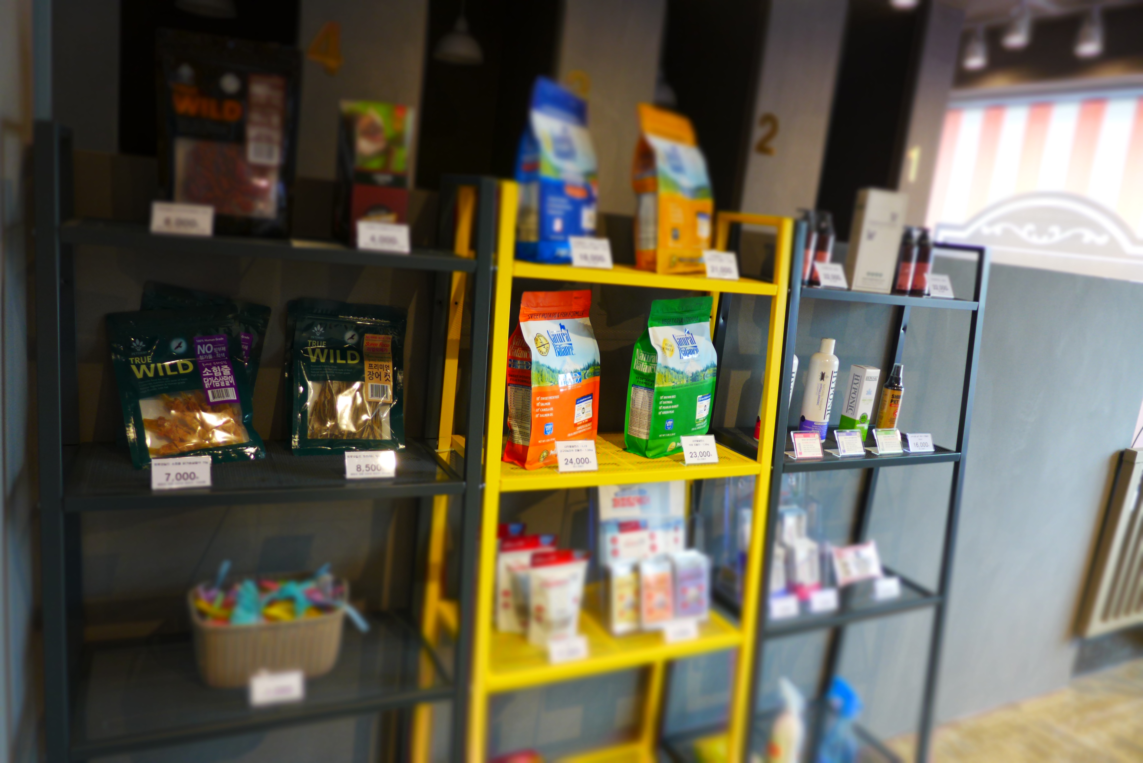 바버독 대표 이미지