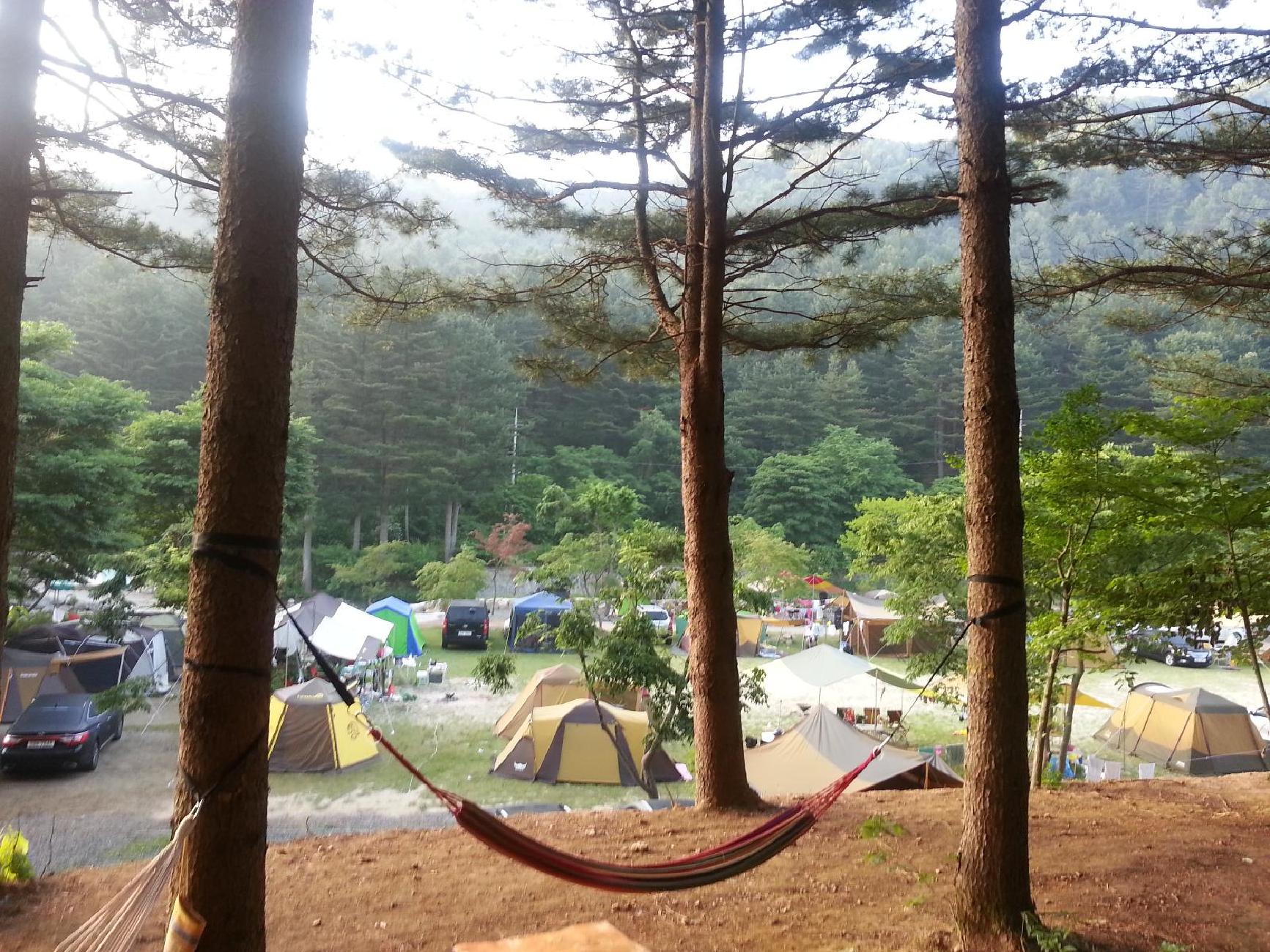 참마당캠핑장